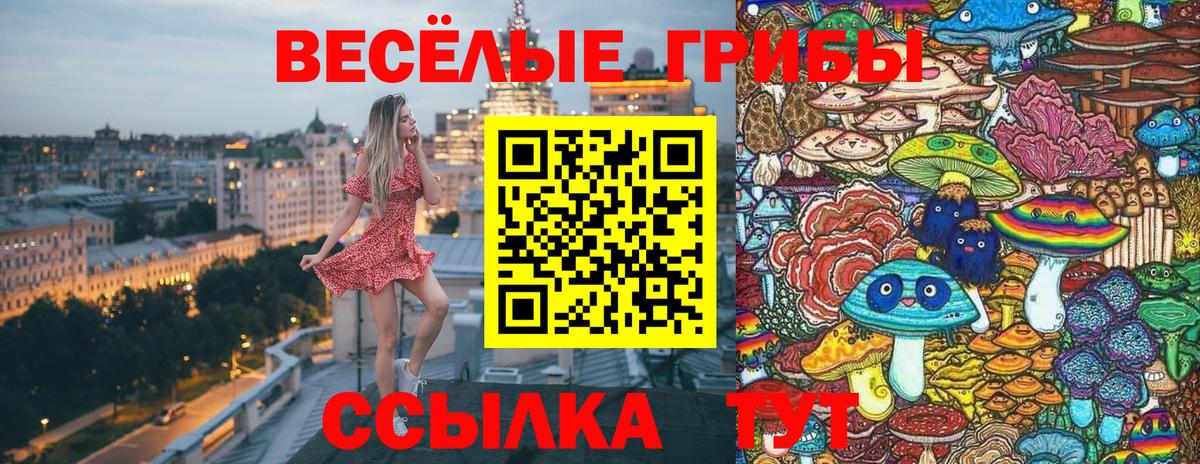 Полевской  Псилоцибиновые грибы прущие грибы  Вход с VPN 