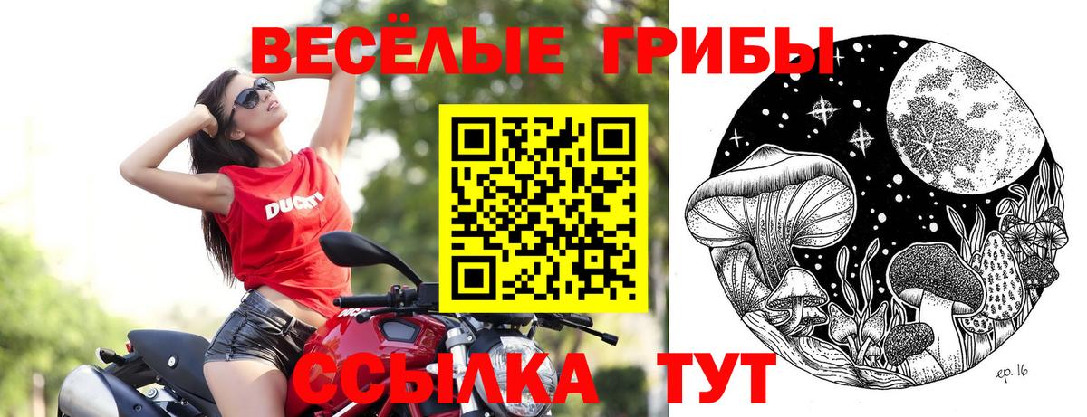 Псилоцибиновые грибы мицелий Полевской